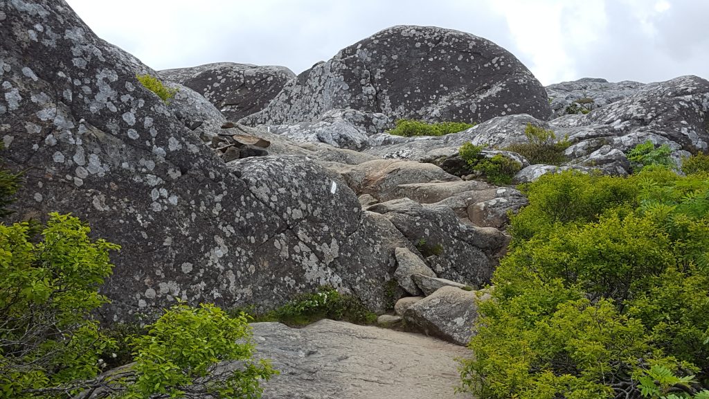 Monadnock-026-2018-06-07 Rocks near Monadnock Summit